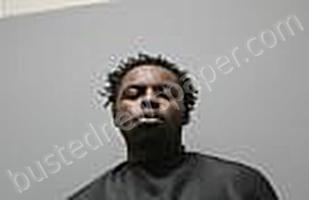ANDERSON-SAVAGE, JACQUESE BARIS TYLEIGH #, Pickens County, South Carolina - 2023-12-20