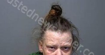 SHANNON MICHELLE ROBERTSON | 2023-12-21 18:29:00 Baxter County, Arkansas Booking