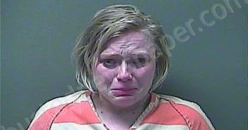 DAVID, KIRSTIN M | 2023-12-22 19:31:00 Laporte County, Indiana, La Porte County, Indiana Booking