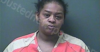 NESBITT, KIMBLY ROSHELL | 2023-12-22 14:13:00 Laporte County, Indiana, La Porte County, Indiana Booking