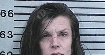 HENSLEY, ANGELA SUZANNE | 2023-12-22 00:17:18 Hood County, Texas Booking