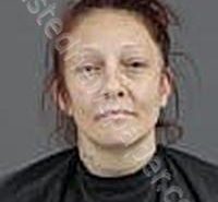 WILLIAMS, TIFFANY MARIE | 2023-12-23 Anderson County, South Carolina Booking
