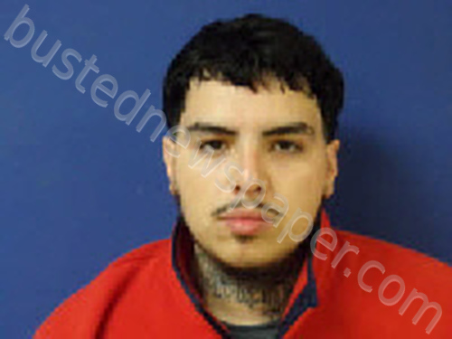 CARDENAS, MARIO ALBERTO #, Sampson County, North Carolina - 2023-12-26 17:58:00
