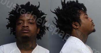 JOHNSON, GABRIEL | 2023-12-26 14:00:00 Miami-Dade County, Florida Booking