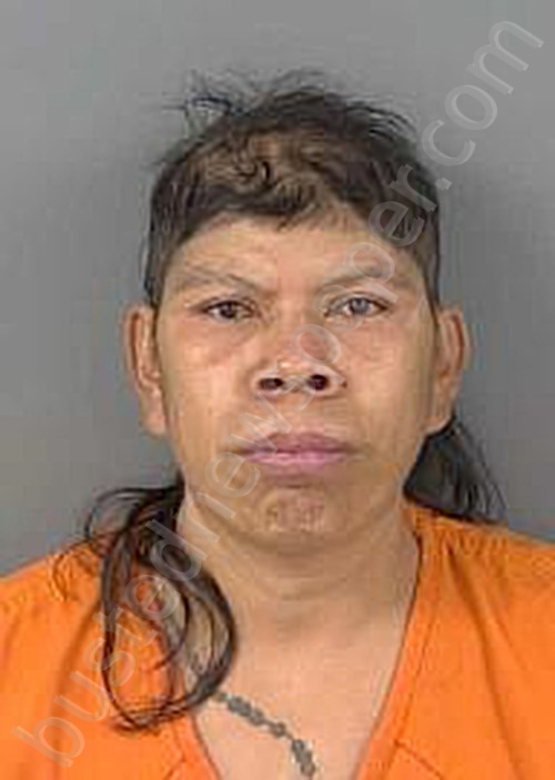 MORENOMAZARIEGOS,VICTOR MANUEL #, Collier County, Florida - 2023-12-27