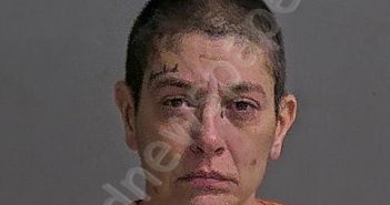 SNYDER, JENNIFER A | 2023-12-28 Sandusky County, Ohio Booking