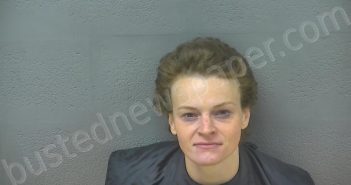 ADKINS, RAVEN NICOLE | 2023-12-28 04:15:00 Lynchburg, Virginia Booking