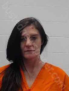 DEIDRE JEAN DAVIS | 2023-12-28 22:39:00 Wayne County, Tennessee Booking