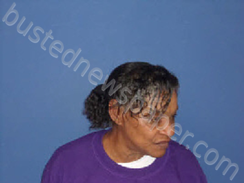 MARSHALL, BEVERLY JANETTE #, Sampson County, North Carolina - 2023-12-29 19:28:00