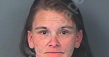 TALMADGE, HEATHER NICOLE | 2023-12-29 16:39:00 Hernando County, Florida Booking