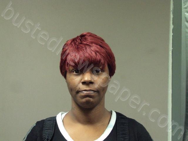 FIELDS, TIESHKA LYNETTE #, Randolph County, Missouri - 2023-12-30 00:19:00