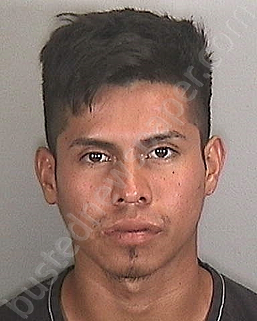 ALVAREZ-MARTINEZ, SERGIO #, Manatee County, Florida - 2023-12-31