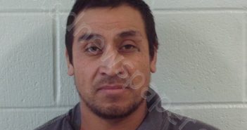 <B>HERNANDEZ</B>–<B>GOMEZ</B>, <B>LUIS</B> #, Burnet County, Texas - 2023-12-31