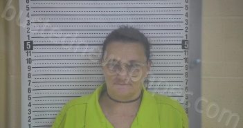 ADKINS, TONI | 2023-12-31 13:29:00 Taylor County, Kentucky Booking