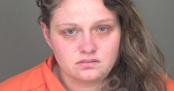 SCHULTZ, DEMI RUTHANN WENZLER | 2024-01-01 16:34:44 Highlands County, Florida Booking