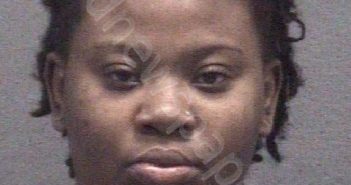 LEWIS, LEDREA NICOLE | 2024-01-02 Muskegon County, Michigan Booking