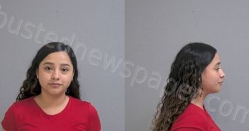 <B>SANCHEZ</B>, <B>SANDRA</B> <B>ITZEL</B> #, Hidalgo County, Texas - 2024-01-03