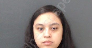 HERNANDEZ <B>BROWN</B>, <B>KRISLYN</B> #, Comal County, Texas - 2024-01-03