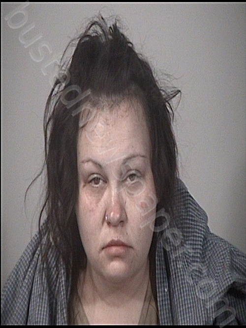 JONES, TARA DAWN NICOLE #, Rappahannock Regional Jail, Virginia - 2024-01-04 10:38:00