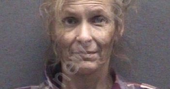 WILSON, SHEILA RENEE | 2024-01-04 Muskegon County, Michigan Booking