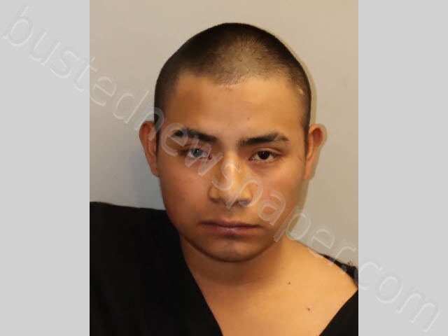 VELA JULIO CESAR #, Leon County, Florida - 2024-01-07
