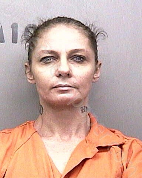 HICKS, BRANDI MARIE #, Taylor County, Florida - 2024-01-08 13:33:00