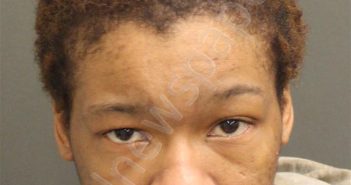 JONES, DEBORAHANN | 2024-01-09 12:11:00 Orange County, Florida Booking