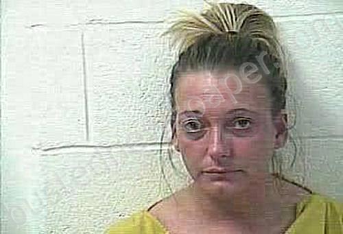 SCARBERRY, SARA MARIE #, Daviess County, Kentucky - 2024-01-10 18:45:00