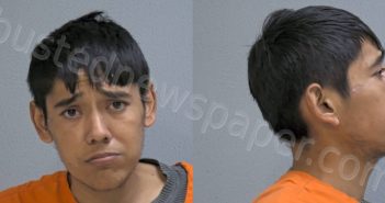 RAMIREZ, DIEGO | 2024-01-11 Hidalgo County, Texas Booking