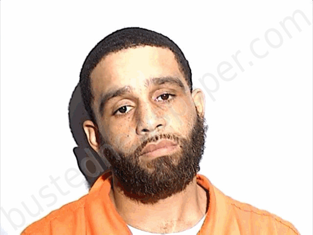 BROWN, DAVALON S #, Lucas County, Ohio - 2024-01-11 08:00:00