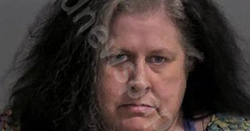FERGUSON, LISA A | 2024-01-11 Sandusky County, Ohio Booking