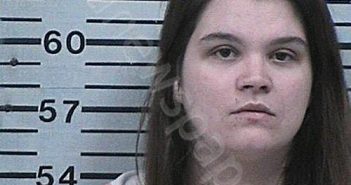 WEBB, BRANDI DAWN | 2024-01-12 19:49:56 Hood County, Texas Booking