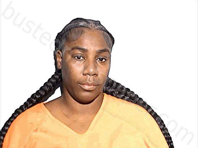 HAYES, BRANDY DEMETRIUS-SHANTAY #, Lucas County, Ohio - 2024-01-13 18:30:00