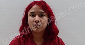 VILLARREAL CLARISSA MARIE | 2024-01-14 Cameron County, Texas Booking