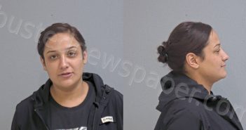 MARTINEZ, MARGARITA BELL | 2024-01-16 Hidalgo County, Texas Booking