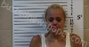 KNIGHT, MICHELLE KAY | 2024-01-16 23:08:00 Cherokee County, North Carolina Booking
