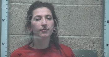 <B>GREEN</B>, <B>BROOK</B> <B>T</B> #, Henderson County, Kentucky - 2024-01-17 11:38:00