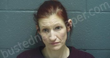 FIELDS, NATASHA R | 2024-01-17 23:57:00 Montgomery County, Indiana Booking