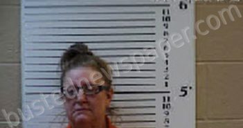 YANIK, JILL RENEE | 2024-01-18 13:11:00 Cherokee County, North Carolina Booking