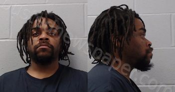 WILLIAMS, PARIS RAYNARD, SR. | 2024-01-19 Hays County, Texas Booking