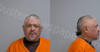 GONZALEZ, <B>CRISTOBAL</B> <B>SANCHEZ</B> #, Hidalgo County, Texas - 2024-01-24