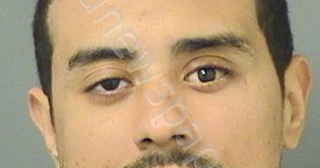 <B>FLORES</B>, ARLES <B>XAVIER</B> #, Palm Beach County, Florida - 2024-01-25 12:43:00