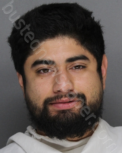 ALVAREZ, JOSE ANGEL #, Ellis County, Texas - 2024-01-25 19:33:00