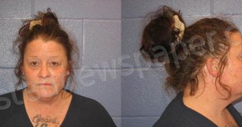 GODINES, TANA FAYE | 2024-01-28 Andrews County, Texas Booking