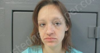 WEAVER, GENIEVE FAYE LOUISE | 2024-01-29 15:45:00 Taylor County, West Virginia Booking