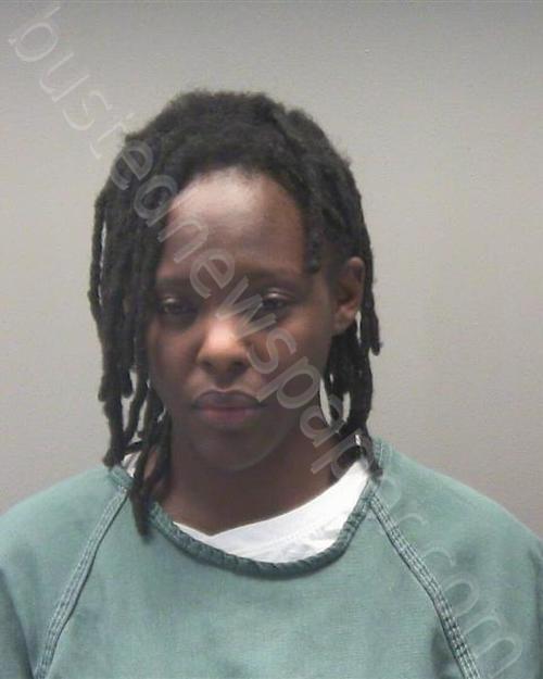ELLIS, BRI’NAE DENISE #, Montgomery County, Ohio - 2024-01-29 04:32:00