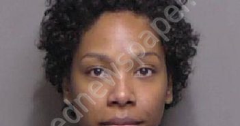 WALKER, ELIZABETH ASHLEY | 2024-01-29 02:04:00 Flagler County, Florida Booking