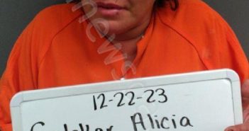 <B>SALOKAR</B>, <B>ALICIA</B> <B>IVY</B> #, Sebastian County, Arkansas - 2024-01-30 20:20:00