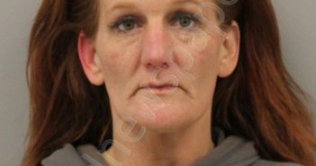 CASE, LESLIE ANN | 2024-01-30 20:19:00 Montgomery County, Ohio Booking