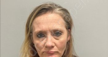 LORI BETH WYATT | 2024-01-30 11:33:00 Henry County, Virginia Booking